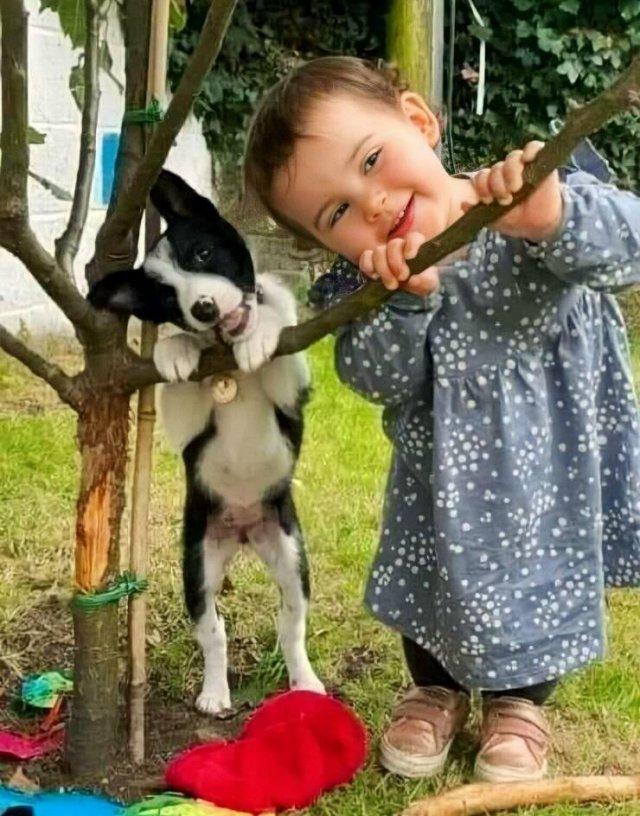 Подборка прикольных фото №3748