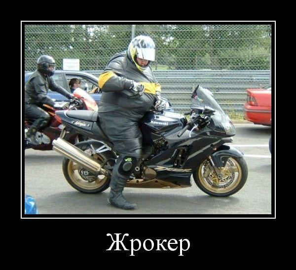 
			Демотиваторы №3677 (20 фото)