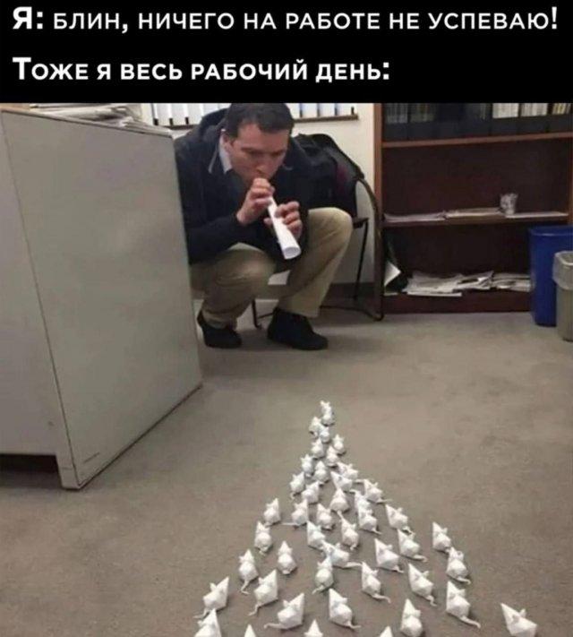 
			Демотиваторы №3689 (20 фото)