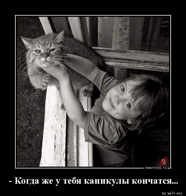 
			Демотиваторы №3676 (20 фото)