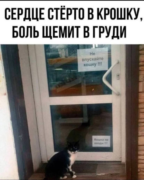 Мем №1534725