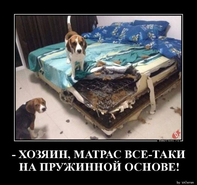 
			Демотиваторы №3674 (15 фото)