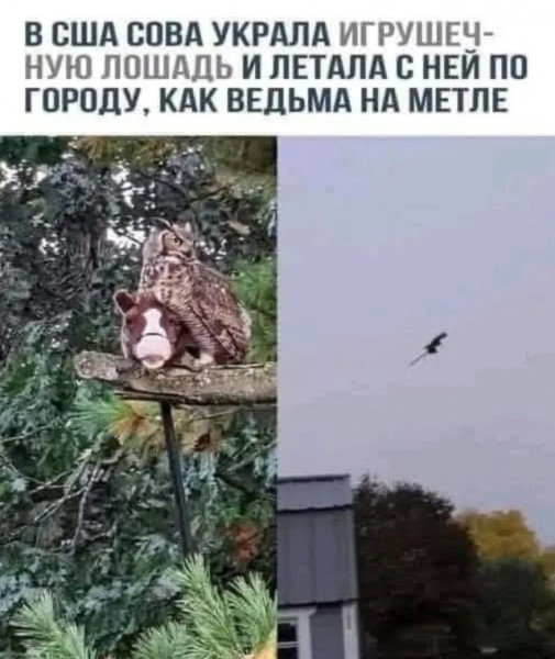 Мем №1535088