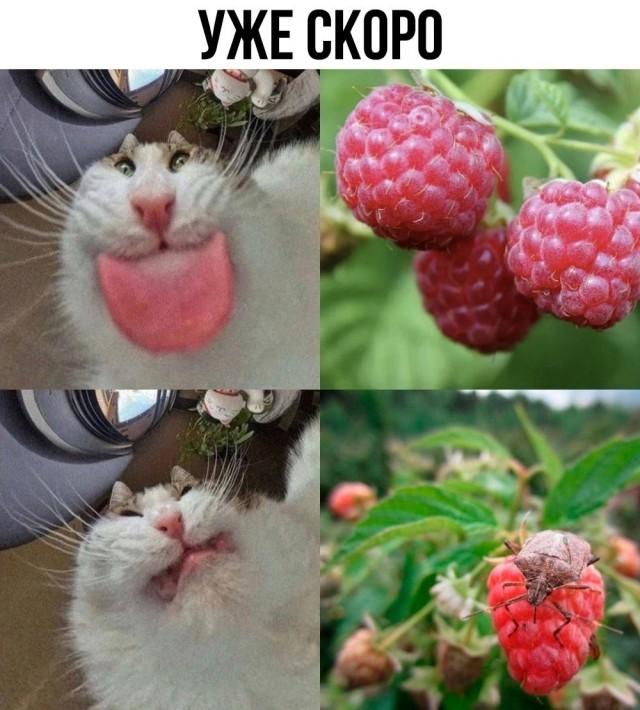 Подборка прикольных фото №3733
