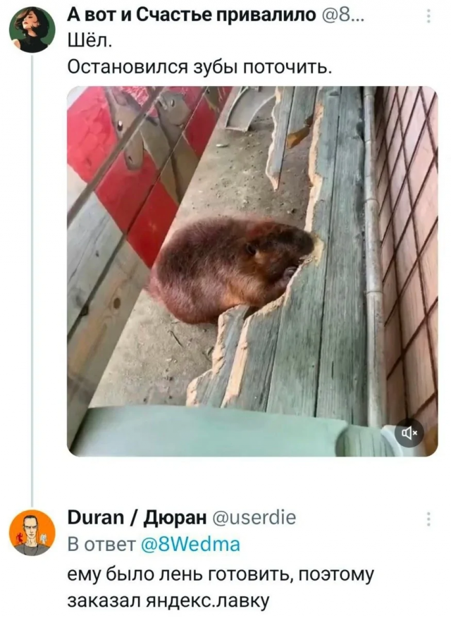 Подборка забавных каламбуров