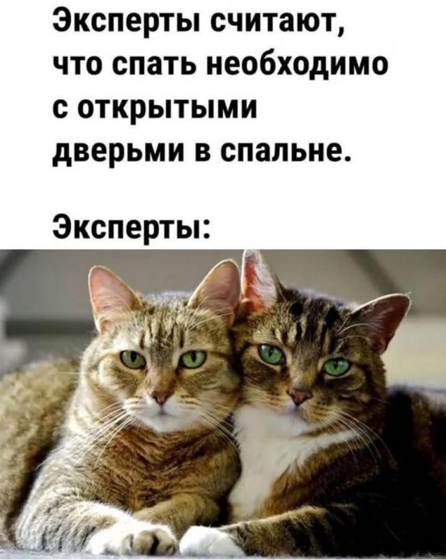 Подборка прикольных фото №3733