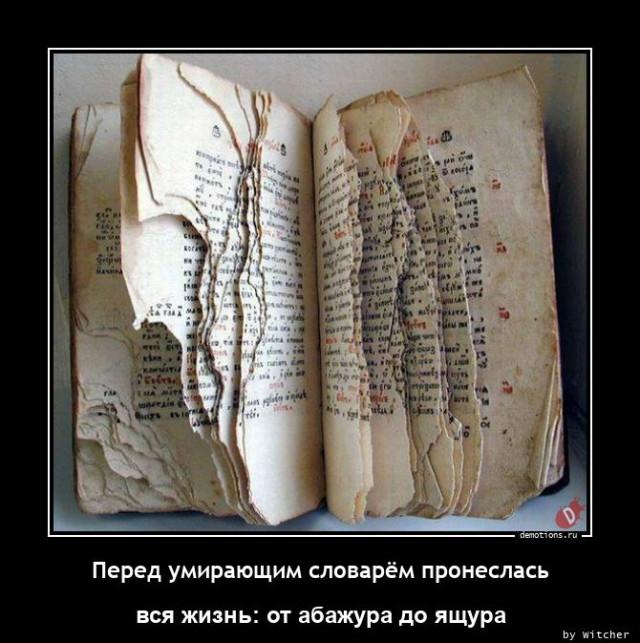 
			Демотиваторы №3687 (18 фото)