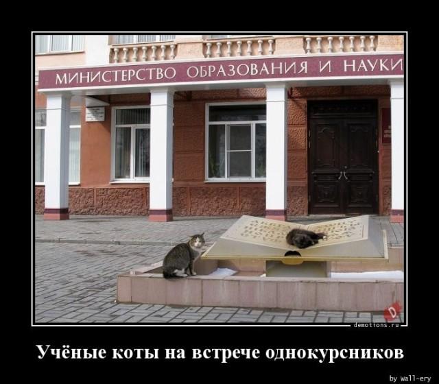 
			Демотиваторы №3678 (20 фото)