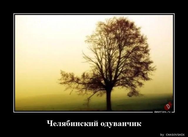 
			Демотиваторы №3682 (15 фото)