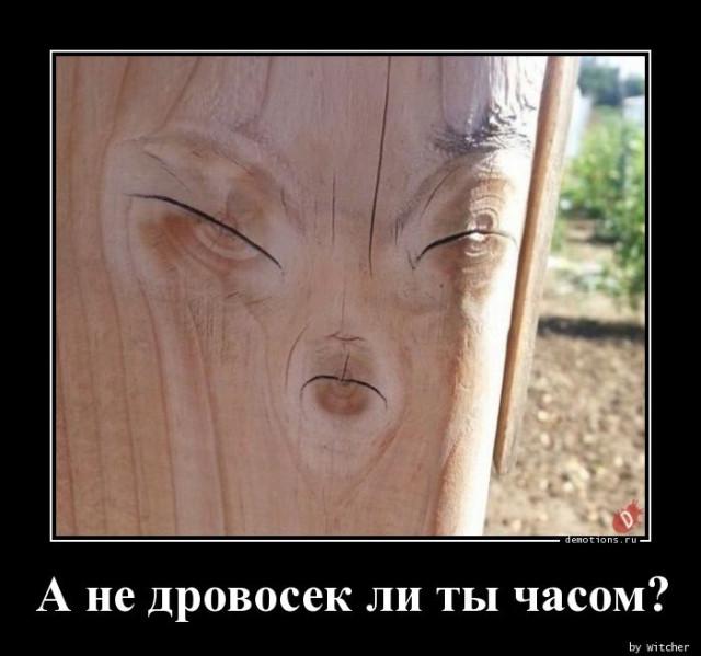 
			Демотиваторы №3692 (15 фото)