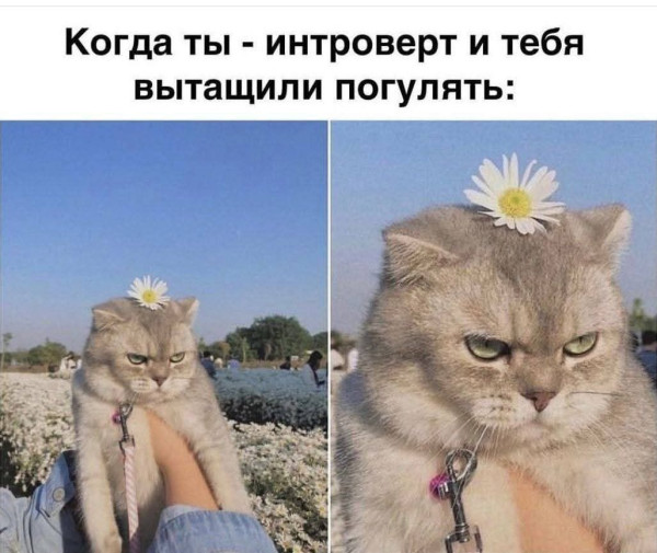 Мем №1534443