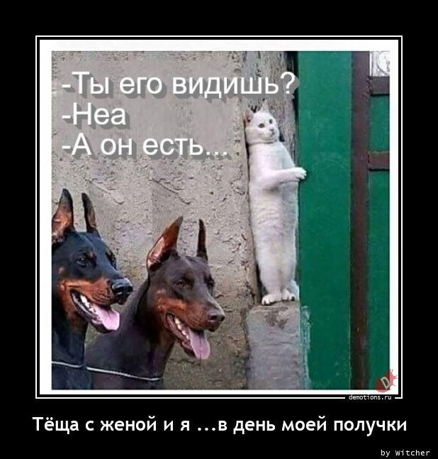 
			Демотиваторы №3693 (15 фото)