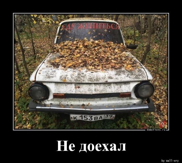 
			Демотиваторы №3686 (15 фото)