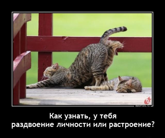 
			Демотиваторы №3714 (20 фото)