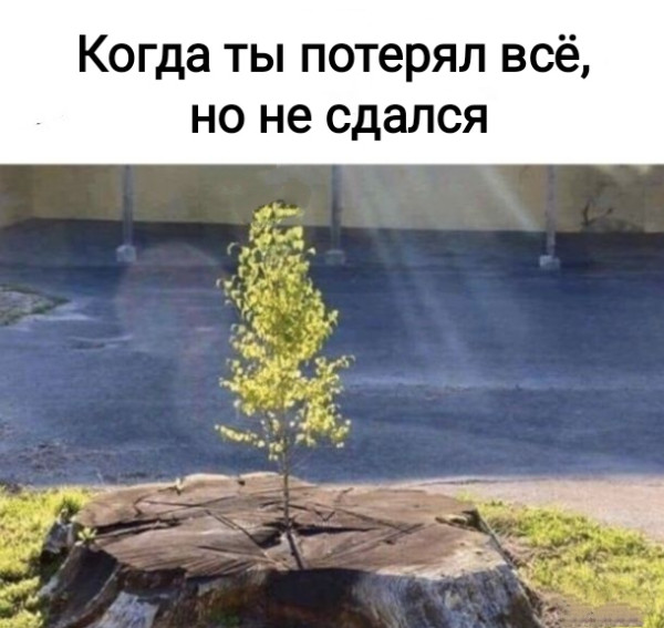 Мем №1543032