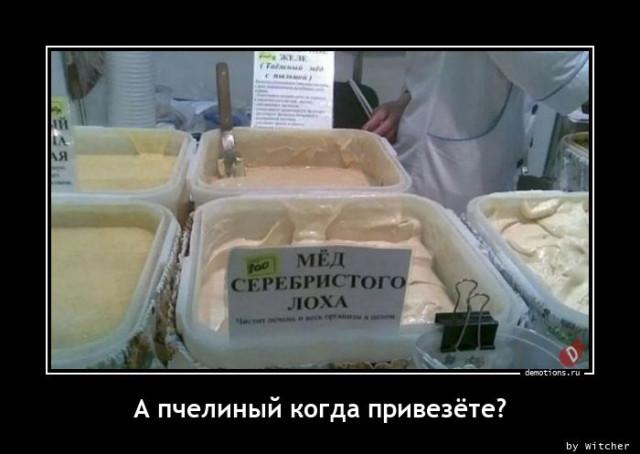 
			Демотиваторы №3704 (15 фото)