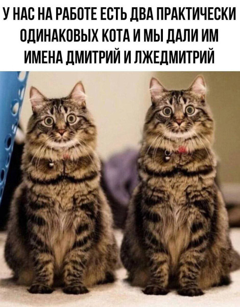 Мем №1542103