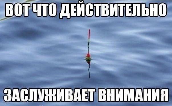 Лучшие мемы и картинки