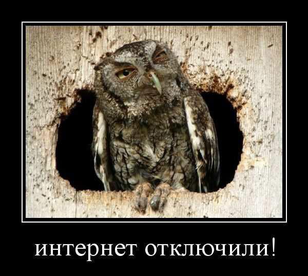 
			Демотиваторы №3710 (15 фото)