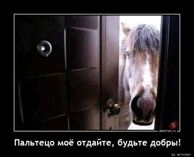 
			Демотиваторы №3712 (17 фото)