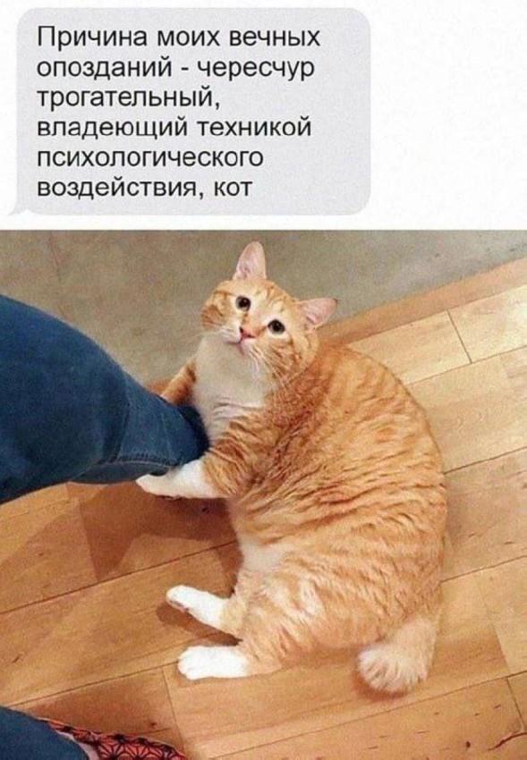 Подборка прикольных фото №3761