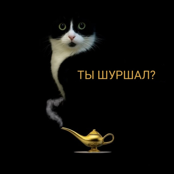 Мем №1543033