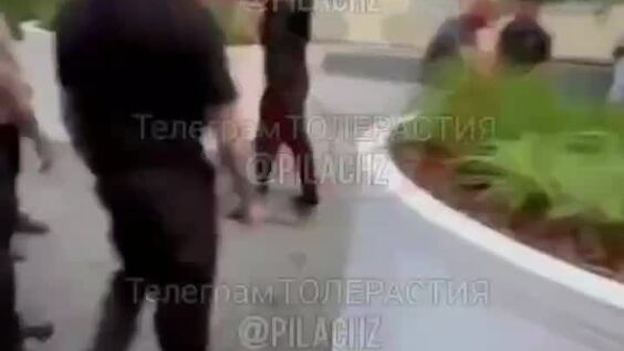 
        Лысые избили бородатых    
