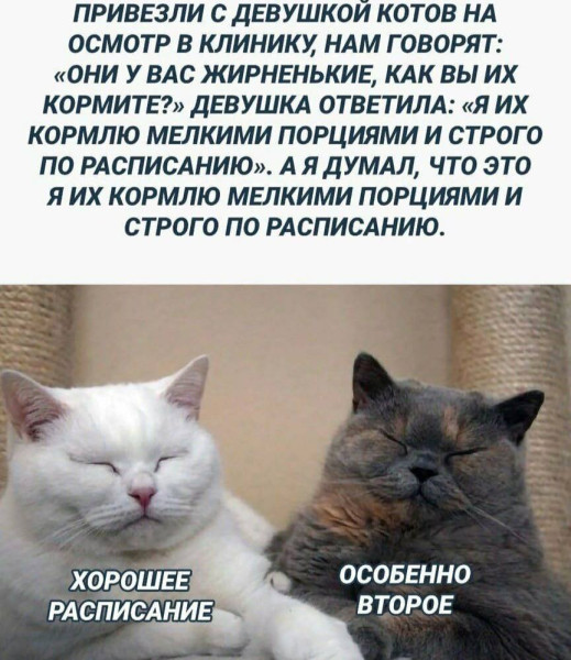 Мем №1542860