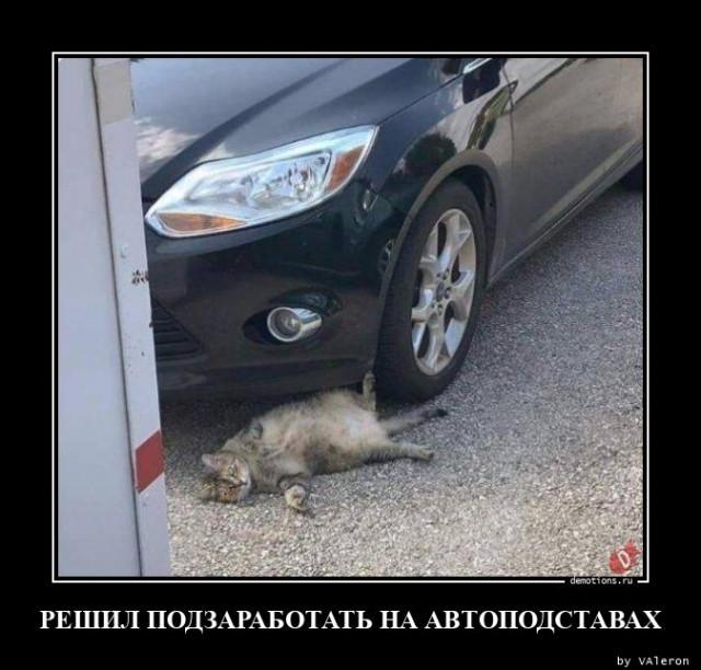 
			Демотиваторы №3713 (20 фото)