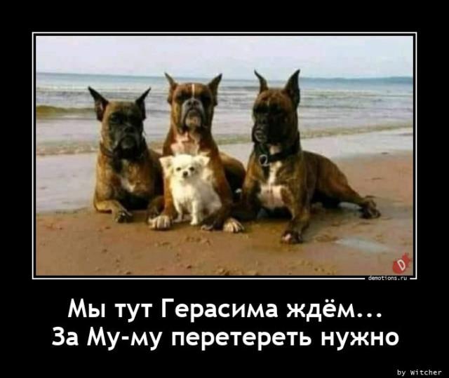 
			Демотиваторы №3705 (15 фото)