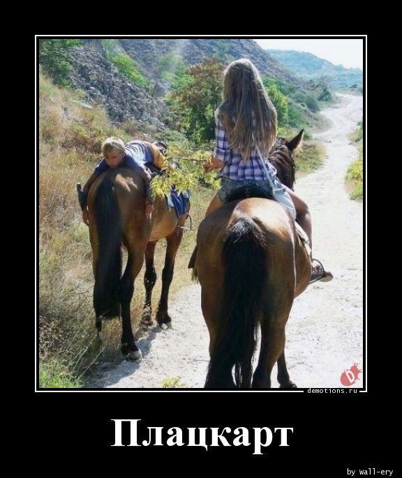 
			Демотиваторы №3701 (15 фото)