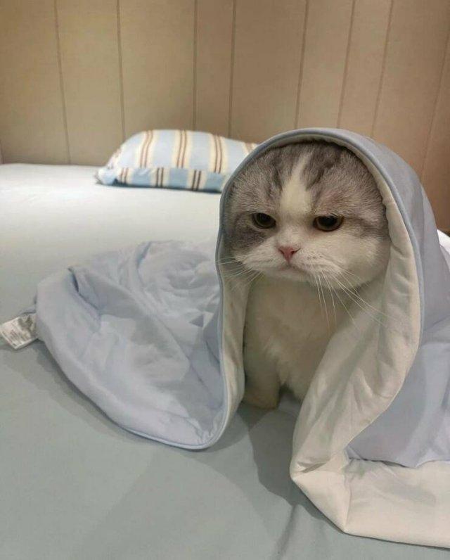 Подборка прикольных фото №3759