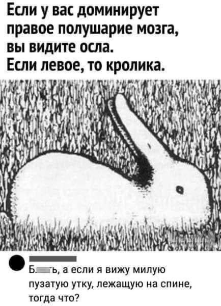 Мем №1542850