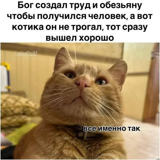 Мем №1542646