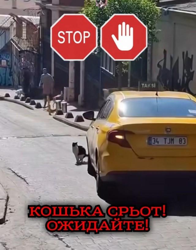 Подборка прикольных фото №3766