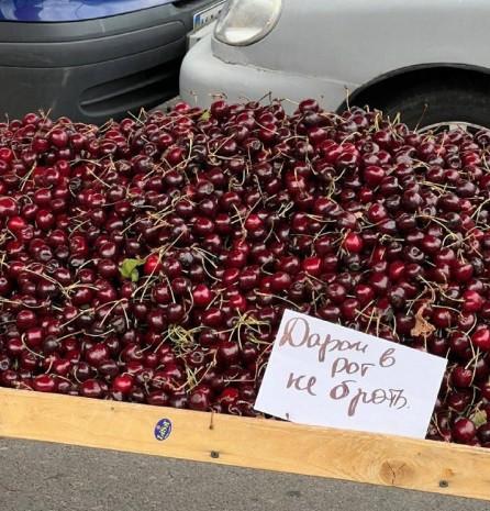 Смешные объявления, вывески и реклама: «Внимание!»
