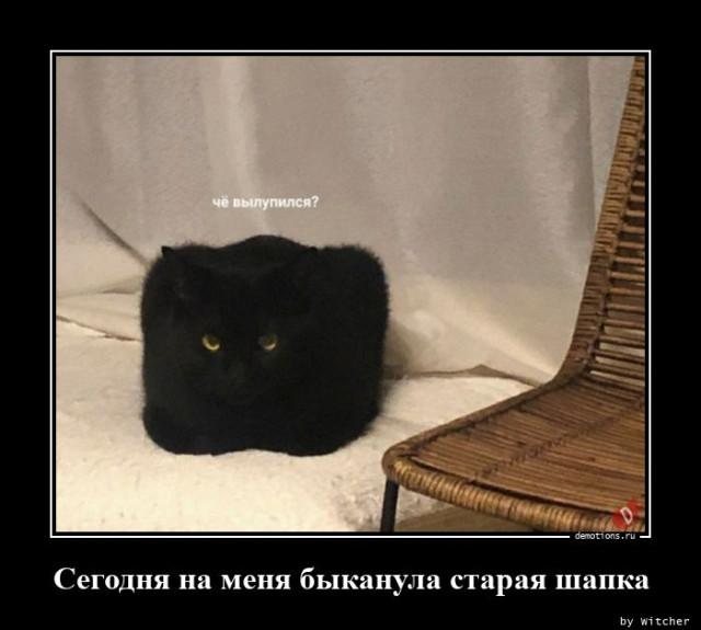 
			Демотиваторы №3704 (15 фото)