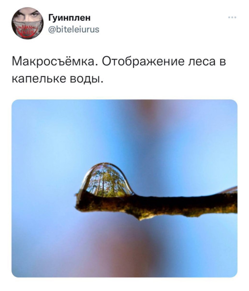 Мем №1540086