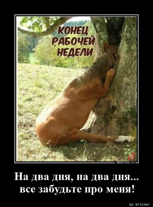 
			Демотиваторы №3703 (15 фото)