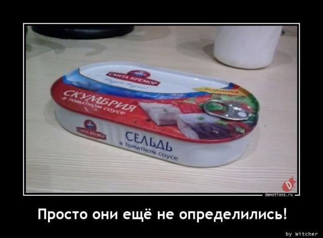 
			Демотиваторы №3713 (20 фото)