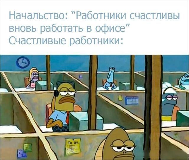 Смешные мемы про работу на удаленке и в офисе