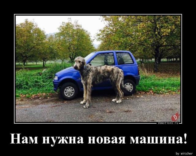 
			Демотиваторы №3706 (15 фото)