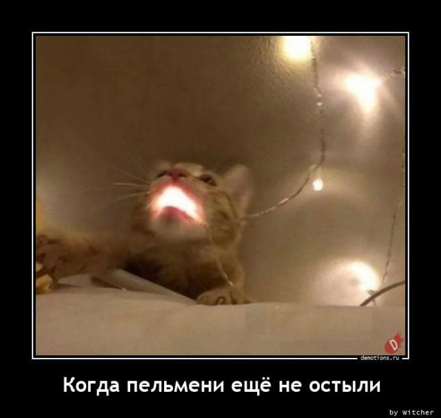 
			Демотиваторы №3717 (15 фото)
