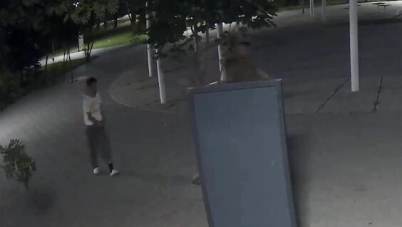 
        Двое парней разнесли сквер и украли дорожный знак — всё ради понтов перед девушками    