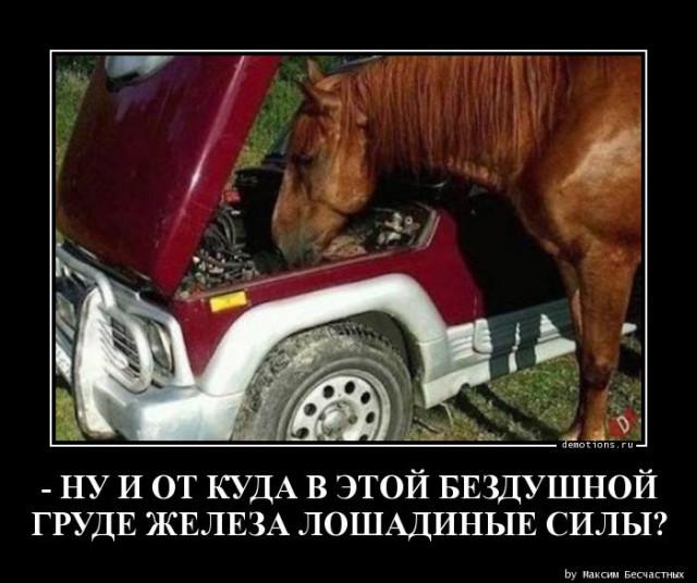 
			Демотиваторы №3714 (20 фото)