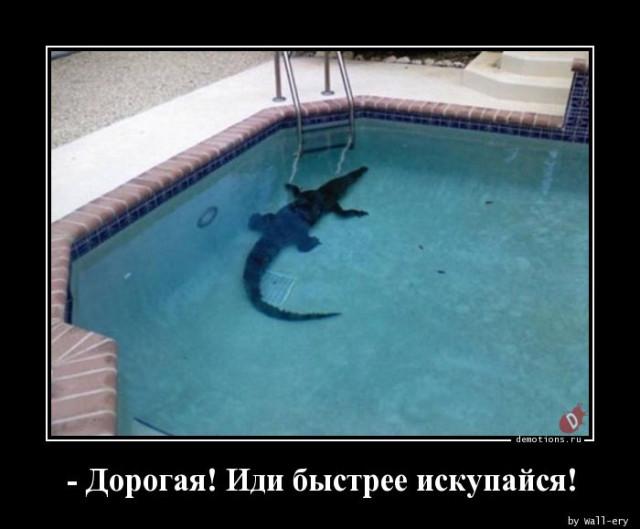 
			Демотиваторы №3716 (15 фото)
