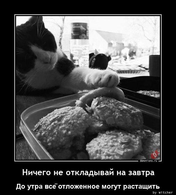 
			Демотиваторы №3704 (15 фото)