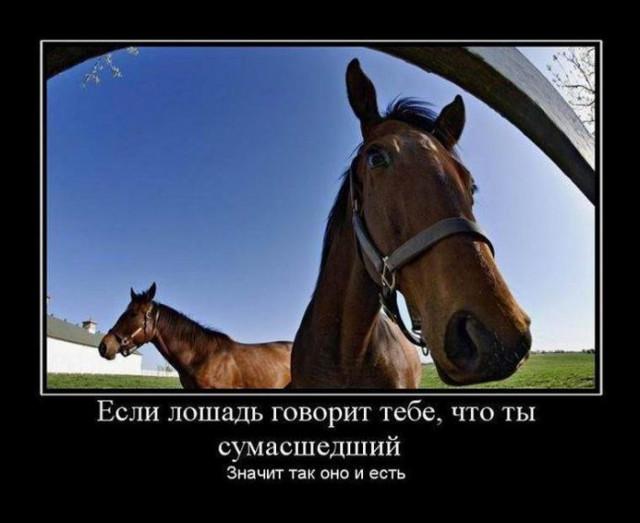 
			Демотиваторы №3708 (15 фото)