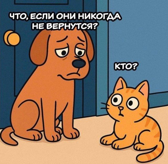Лучшие мемы и картинки