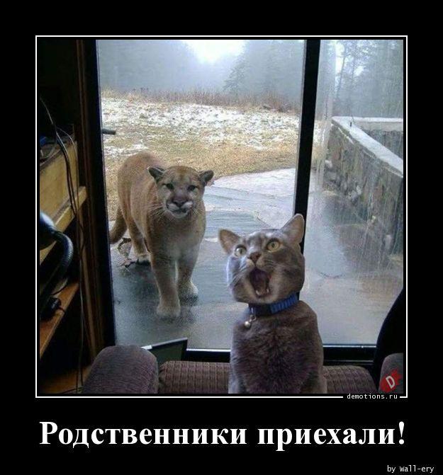 
			Демотиваторы №3716 (15 фото)